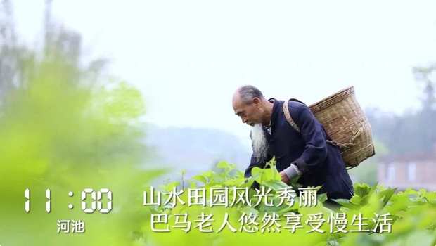 һ��24С�r���V���ڰl(f��)��ʲô