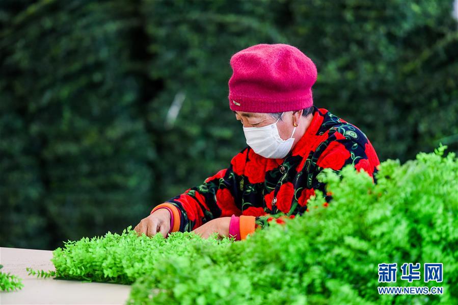 (決戰(zhàn)決勝脫貧攻堅(jiān)·圖文互動(dòng))(2) 內(nèi)蒙古卓資縣:“黃金地”建“脫貧樓” “斷窮根”進(jìn)“快車道”