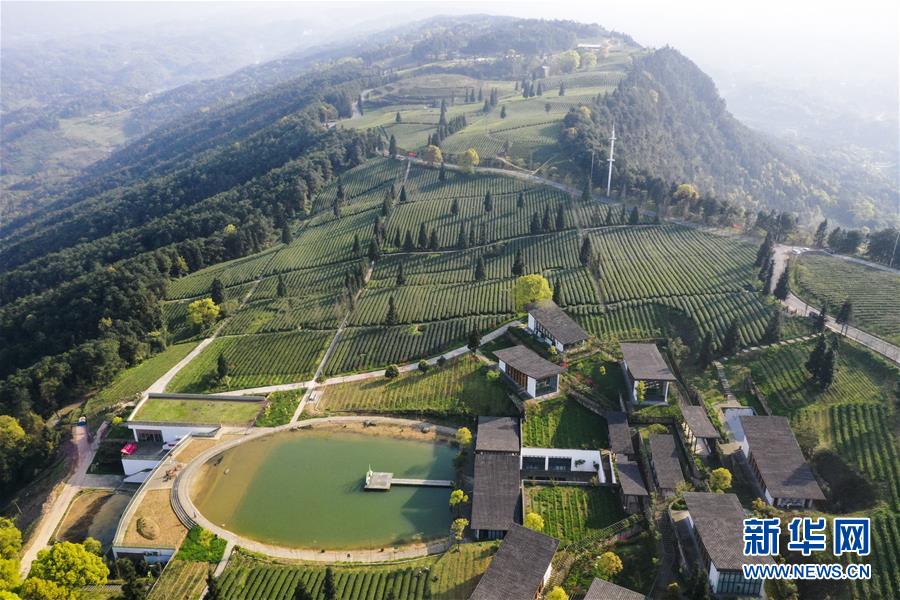 (新華全媒頭條·走向我們的小康生活·圖文互動)(3)大城大鄉(xiāng)的“幸福協(xié)奏曲”——重慶推動高質(zhì)量發(fā)展創(chuàng)造高品質(zhì)生活紀(jì)事