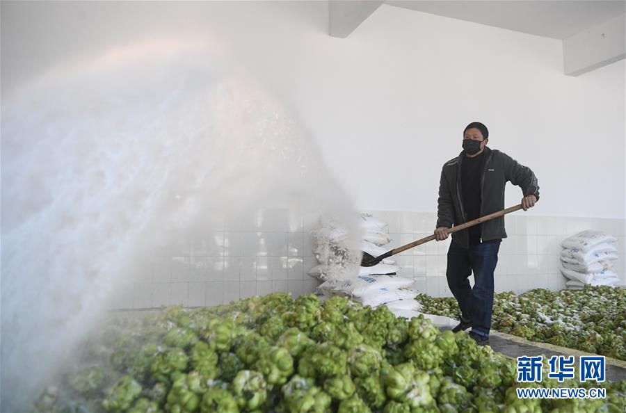 (新華全媒頭條·走向我們的小康生活·圖文互動)(6)大城大鄉(xiāng)的“幸福協(xié)奏曲”——重慶推動高質(zhì)量發(fā)展創(chuàng)造高品質(zhì)生活紀(jì)事