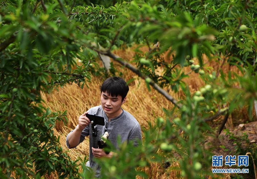 (新華全媒頭條·走向我們的小康生活·圖文互動)(8)大城大鄉(xiāng)的“幸福協(xié)奏曲”——重慶推動高質(zhì)量發(fā)展創(chuàng)造高品質(zhì)生活紀(jì)事