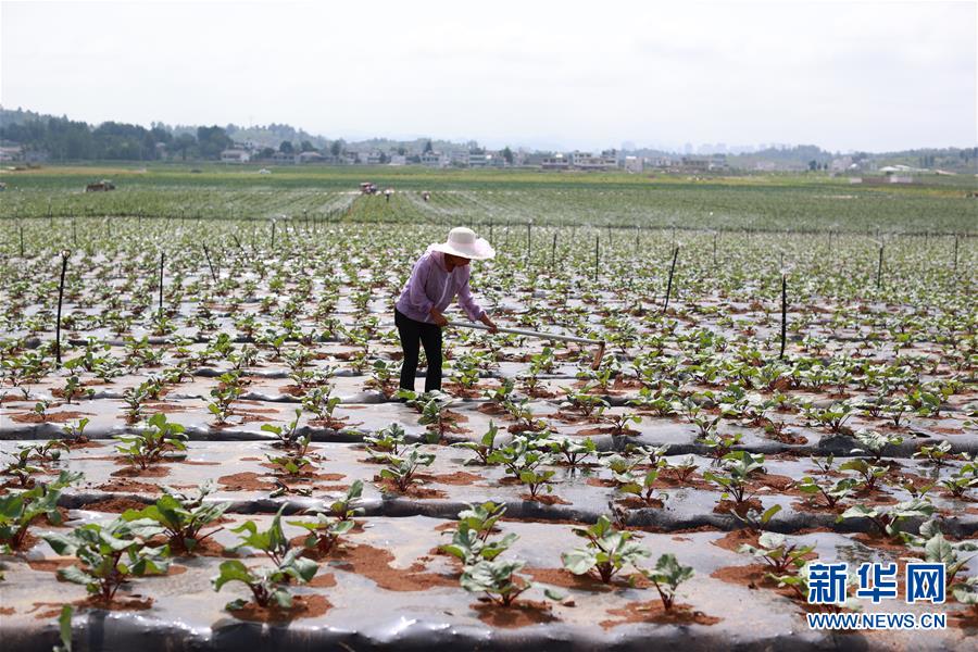 �����Aȫý�^�l�������҂���С������Q��(zh��n)�Q��Óؚ����(ji��n)���D�Ļ���(d��ng)����3��ǧ��֮�ʽ񳯽⡪���F��ؚ��Ⱥ����(sh��)�F(xi��n)����ˮ���