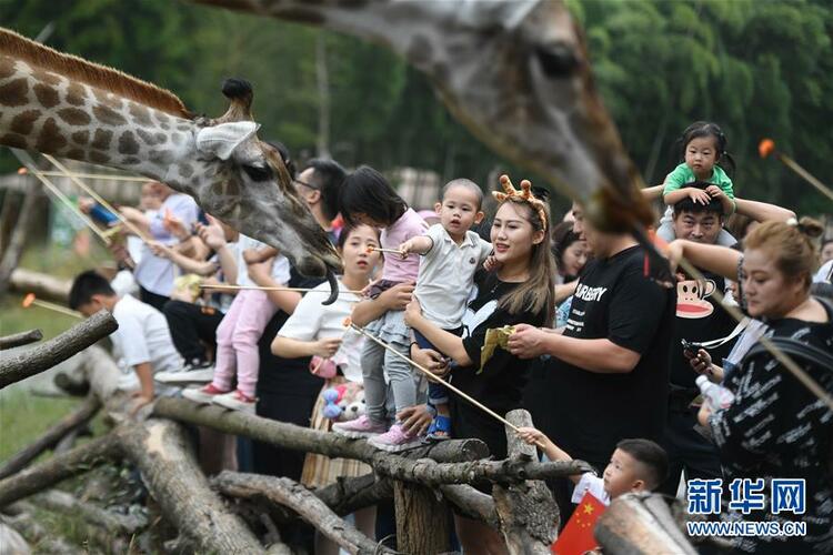 ���G������Ŀ��Ȼ�������������á�����(w��n)�������䌍(sh��)���������΄�(w��)���^��