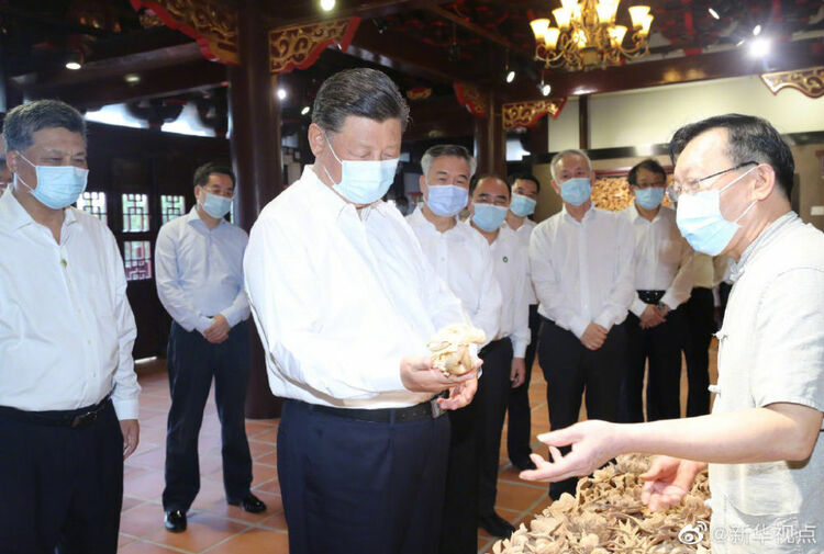 習(xí)近平赴廣東考察調(diào)研