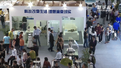 ��ʮ���塱������