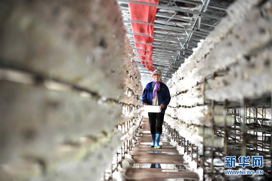 ����(x��)��ƽ��С�����¡��D�Ļ���(d��ng)����6�����Һ����ε�һ����������׌�l(xi��ng)�H���һ�D�⡱������(x��)��ƽ��Óؚ����(ji��n)�Ĺ���