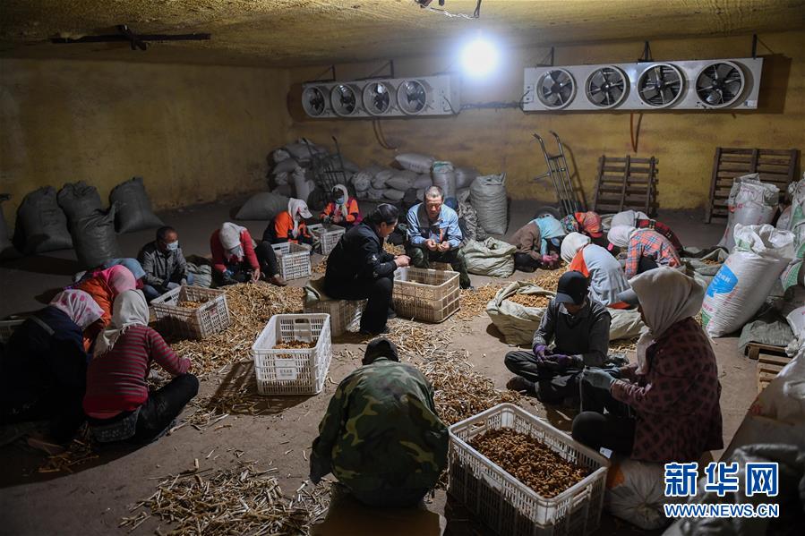 ����(x��)��ƽ��С�����¡��D�Ļ���(d��ng)����8�����Һ����ε�һ����������׌�l(xi��ng)�H���һ�D�⡱������(x��)��ƽ��Óؚ����(ji��n)�Ĺ���