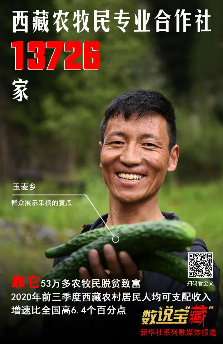 ���@�M��(sh��)�f�����ء������������ؽ����Ҹ�����