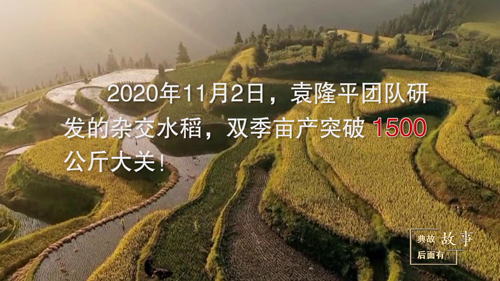 �@λ��90��׌����1/5���˳�����