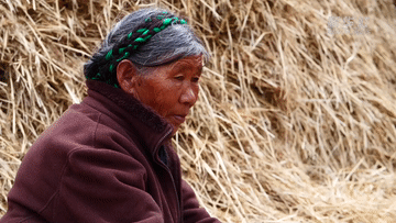 �@Щ���ع����ʲô��׿������̫���ˡ���