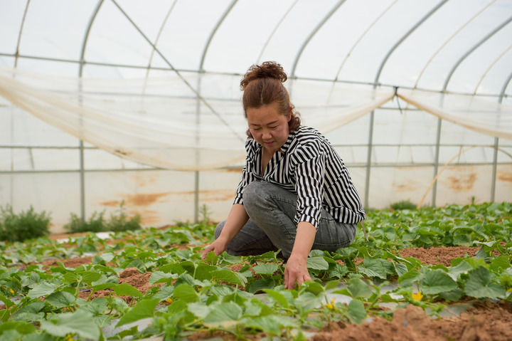 ���Aȫý+���������ٿ��Ї�����ɳ��·���~�� ���մ�Įͨ�ĺ�