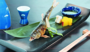 �ڸ����g�@�M���Ƽ���