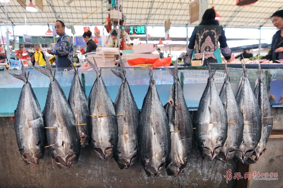 ���u�M(j��n)�������~���� ������ζ�T��ζ��(�D)