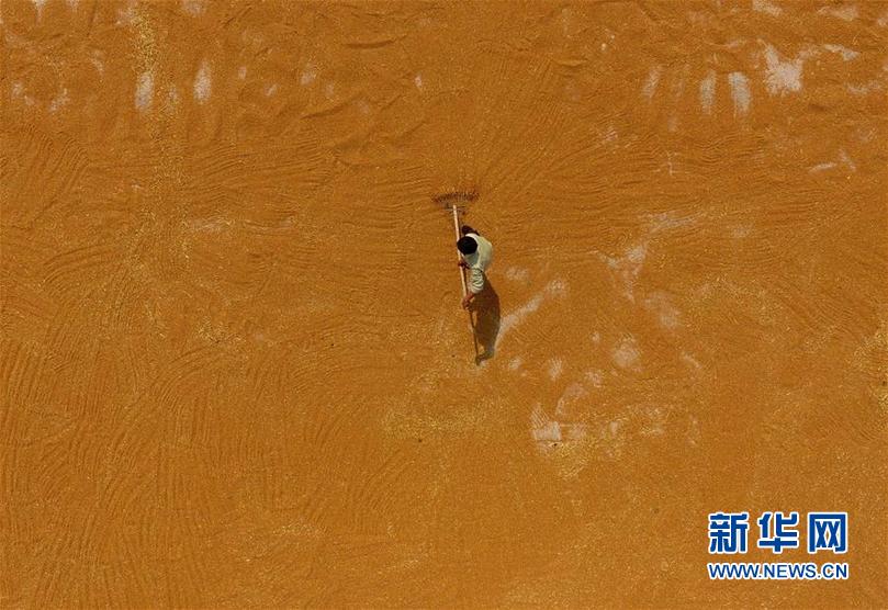 #��ҕ���X(ju��)�����S��