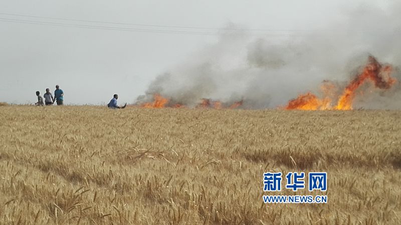 #�����A�W(w��ng)����2��ɽ�|���_���������