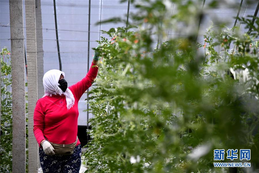 ����(j��ng)������2��ɽ�|��ͤ���F(xi��n)���r(n��ng)�I(y��)�a(ch��n)�I(y��)�@��֏�(f��)���a(ch��n)æ