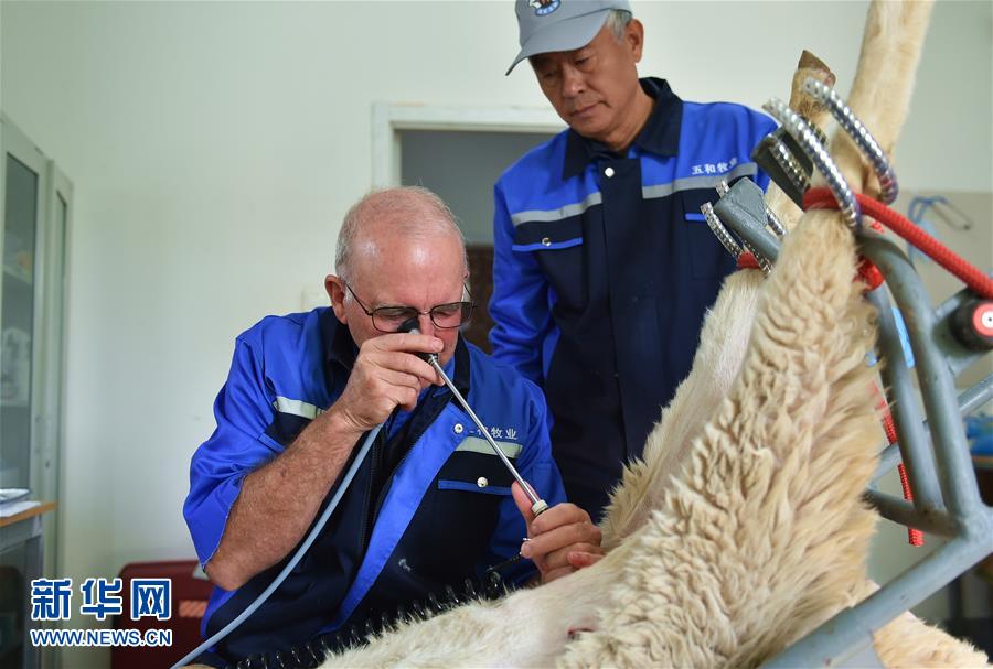 ɽ������?q��)��ҡ�ȡ�?j��ng)���󌣼ҡ�