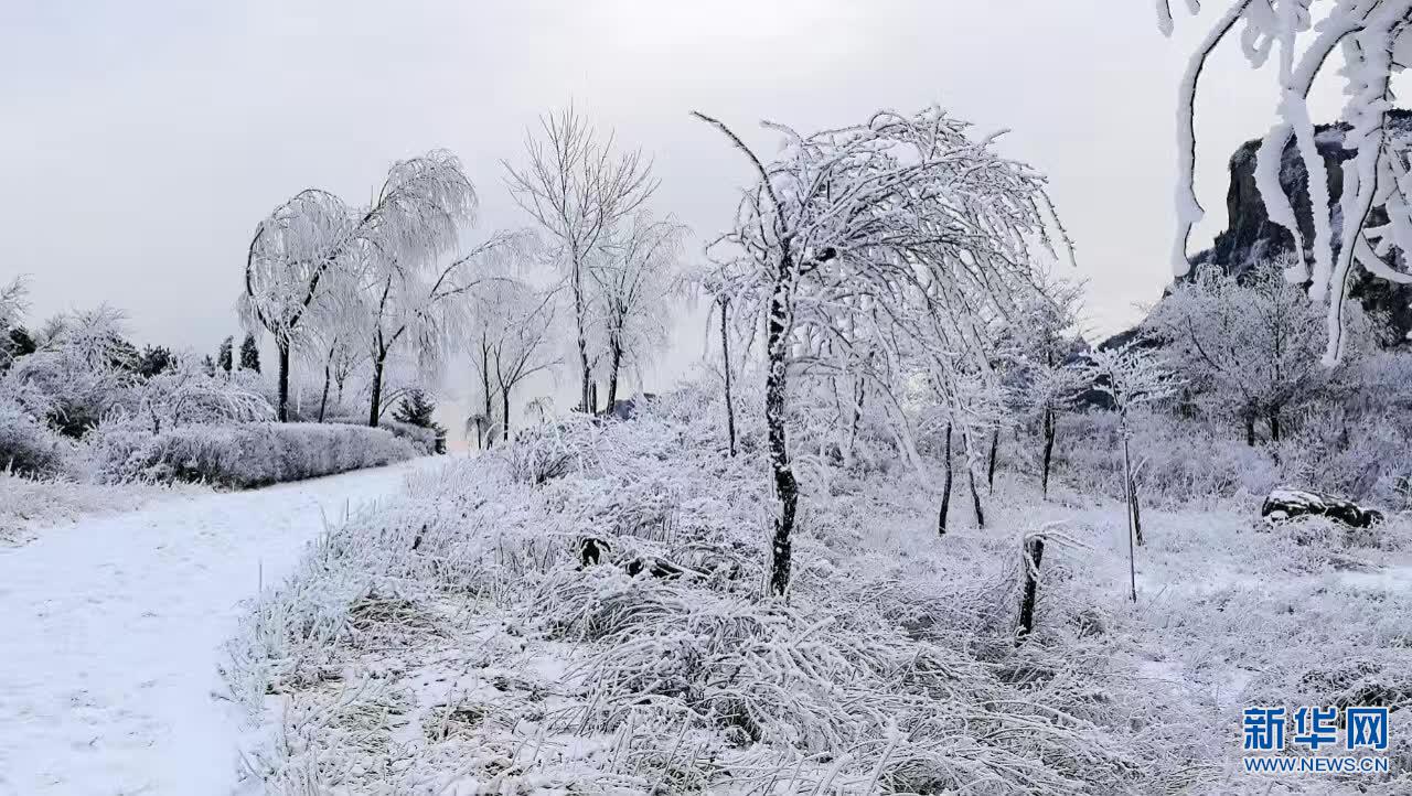 ����������ç�X����䭂�����y�b�ع�