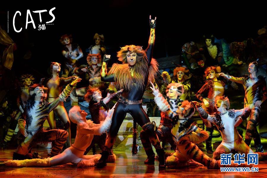 ��Ո(q��ng)�l(f��)���A�W(w��ng)����l����Ӣ��(gu��)ԭ������(l��)����؈��4�µ׵�������Ժ