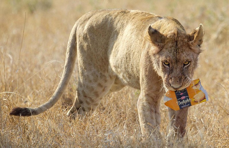 �ת{������������ ����h(hu��n)�����n