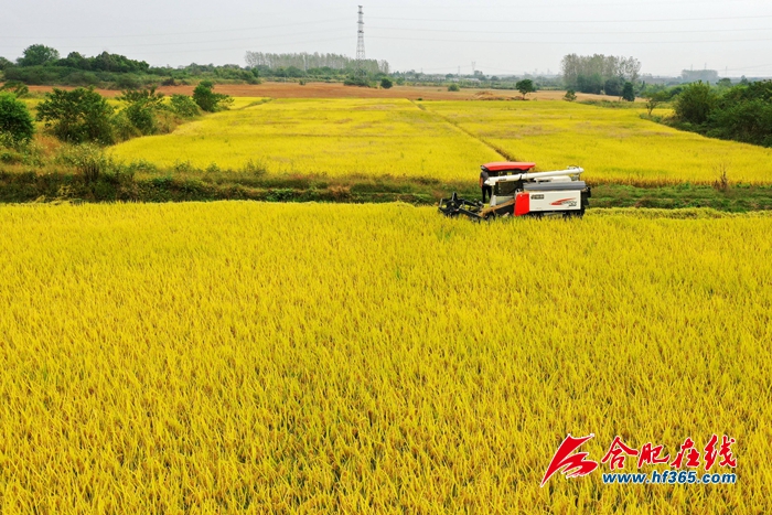 ���Ƚ��S  �w���w�} (2)