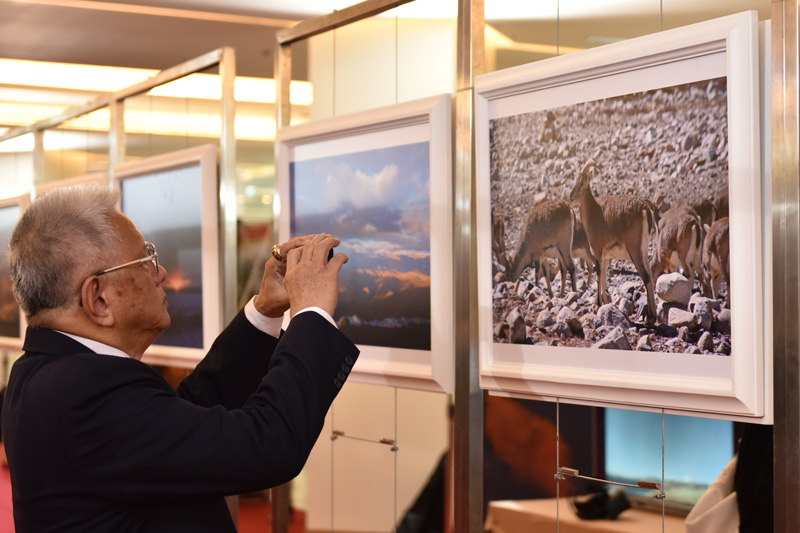 �����������Ļ��z�a(ch��n)��(sh��)��ˇ�g(sh��)չ���״����M(j��n)̩��(gu��)