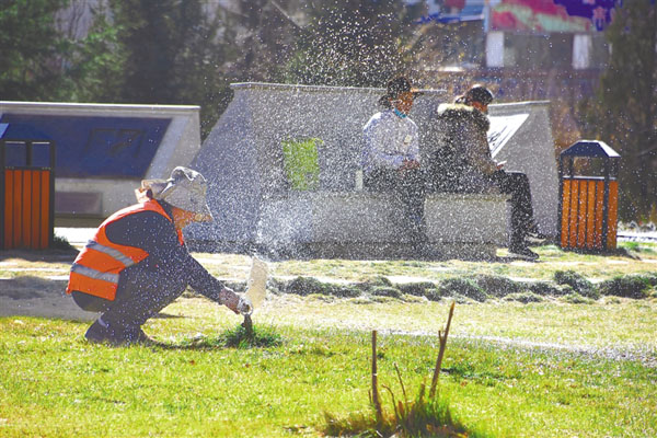 yangnl93167_s.jpg yangnl93167_s.jpg