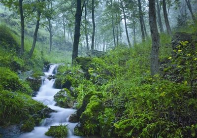 ���ˎ����ɽӛ