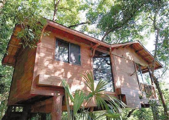 ��������������������������&nbsp;������������������䣿���� ����3������36��������1����������1��������������������