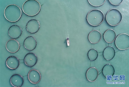 �������Ї�(gu��)����1���|������������(ch��ng)��ӭ�S��